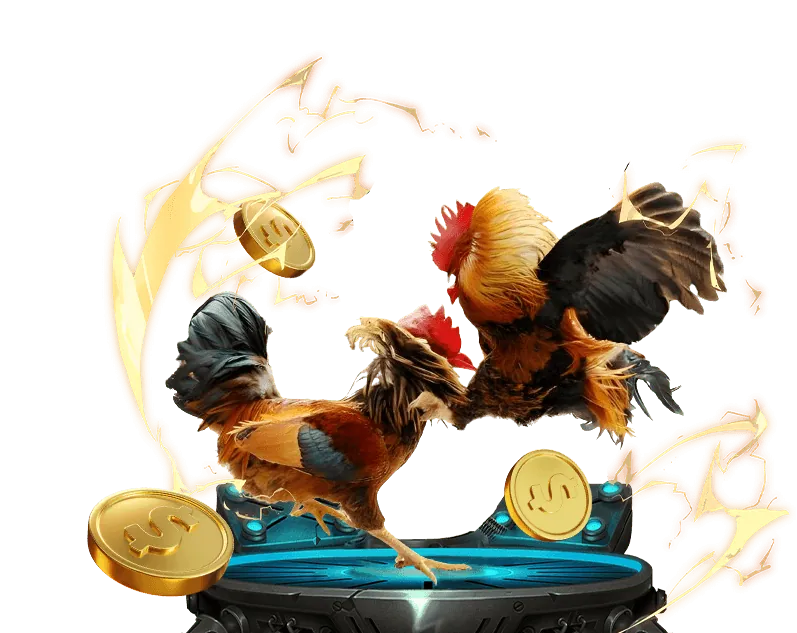 Trực tiếp đá gà cựa dao, cựa sắt