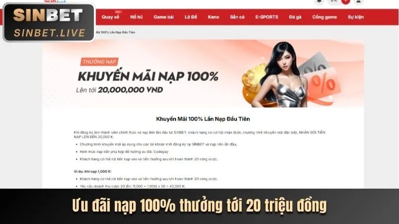 Tổng quan nền tảng cá cược trực tuyến Sinbet và logo fanvip